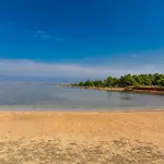 Ana Maria Vikendica *