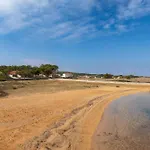 Ana Maria Vikendica Vir